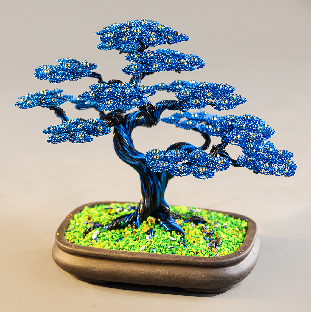 Cây tài lộc bonsai phong thủy (5 màu phong thủy)