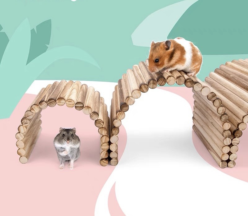 Thang gỗ các loại dành cho hamster / thỏ / bọ / sóc / fat tail/ ...- T3 PETS SHOP