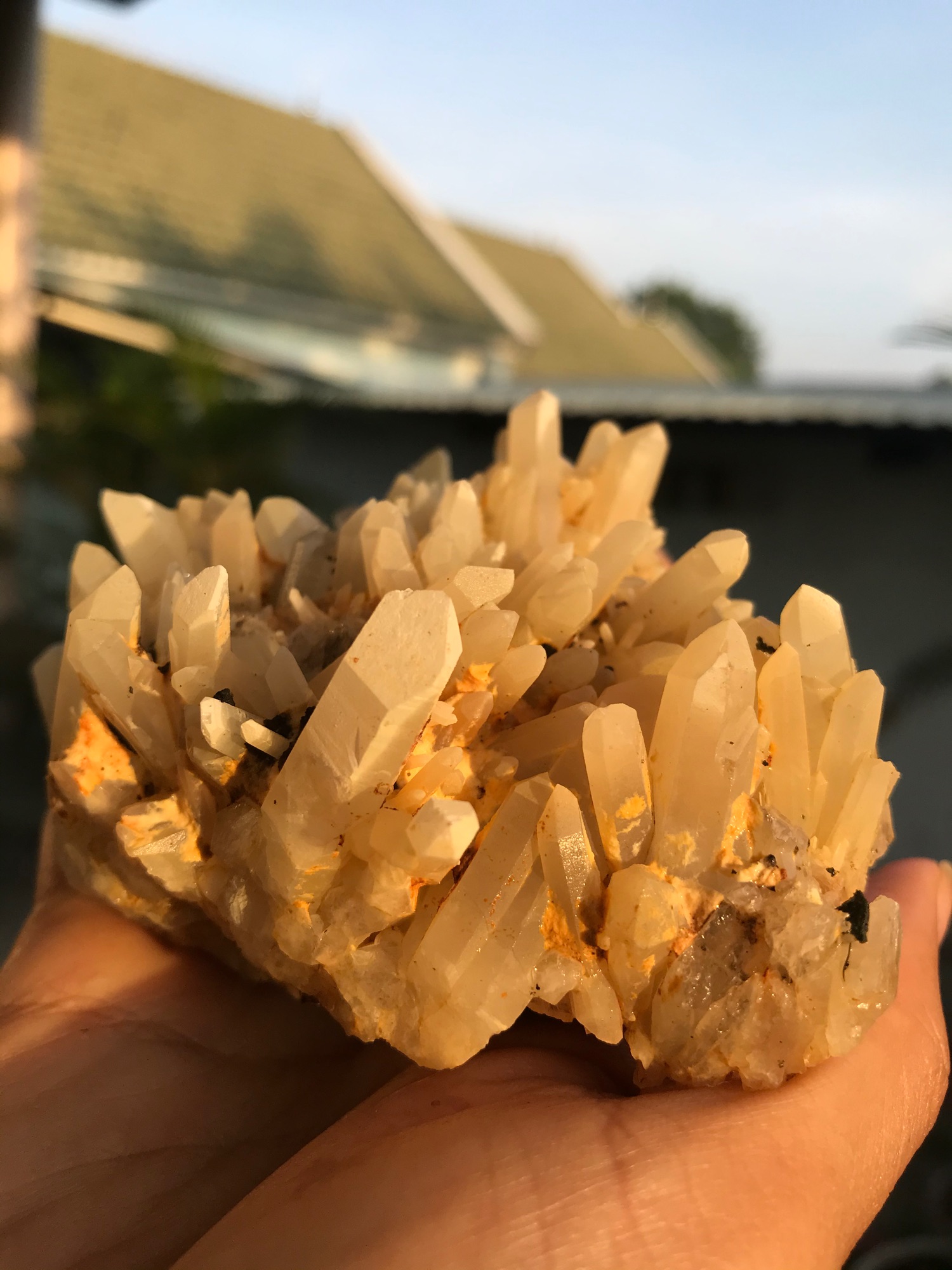 Bụi tinh thể đá Thạch Anh vàng nhím xù