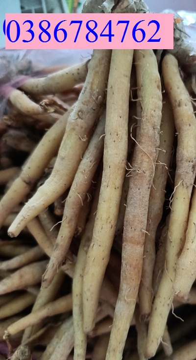 Củ ngải bún tươi 1kg