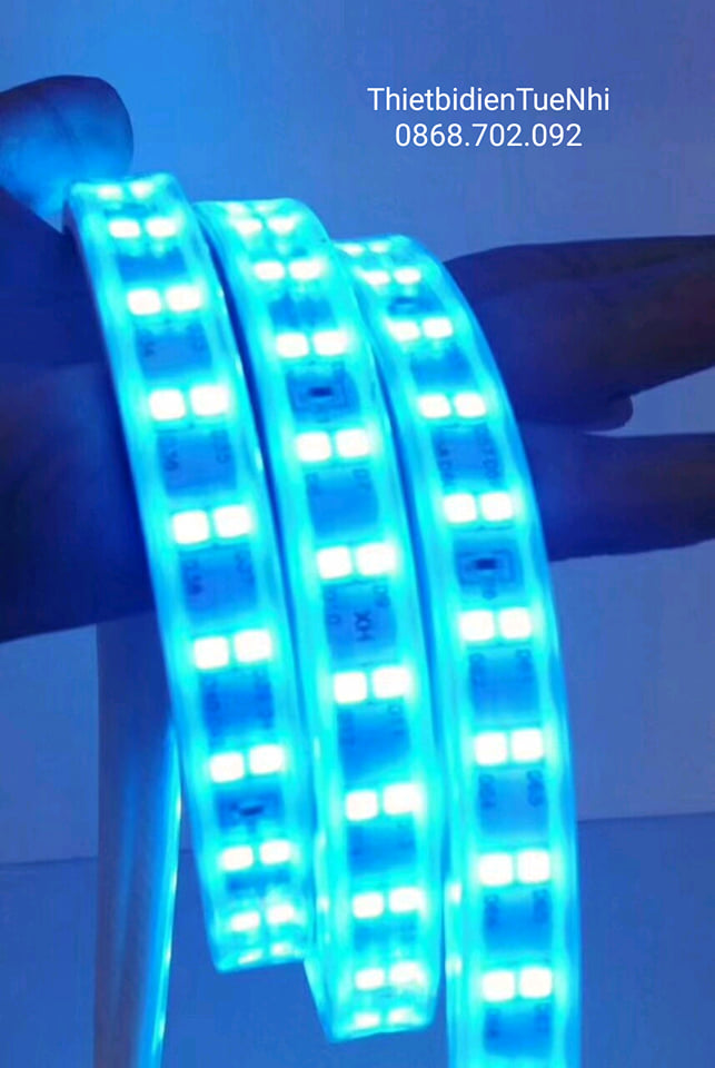 combo 10m Đèn Led dây đôi 2835 ánh sáng vàng, trắng và xanh dương, ống nhựa 220v