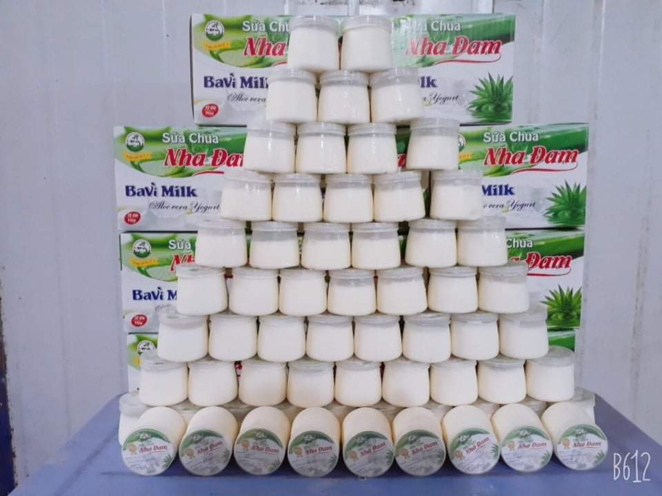 SỮA CHUA Nếp cẩm,Phô mai,Chanh dây