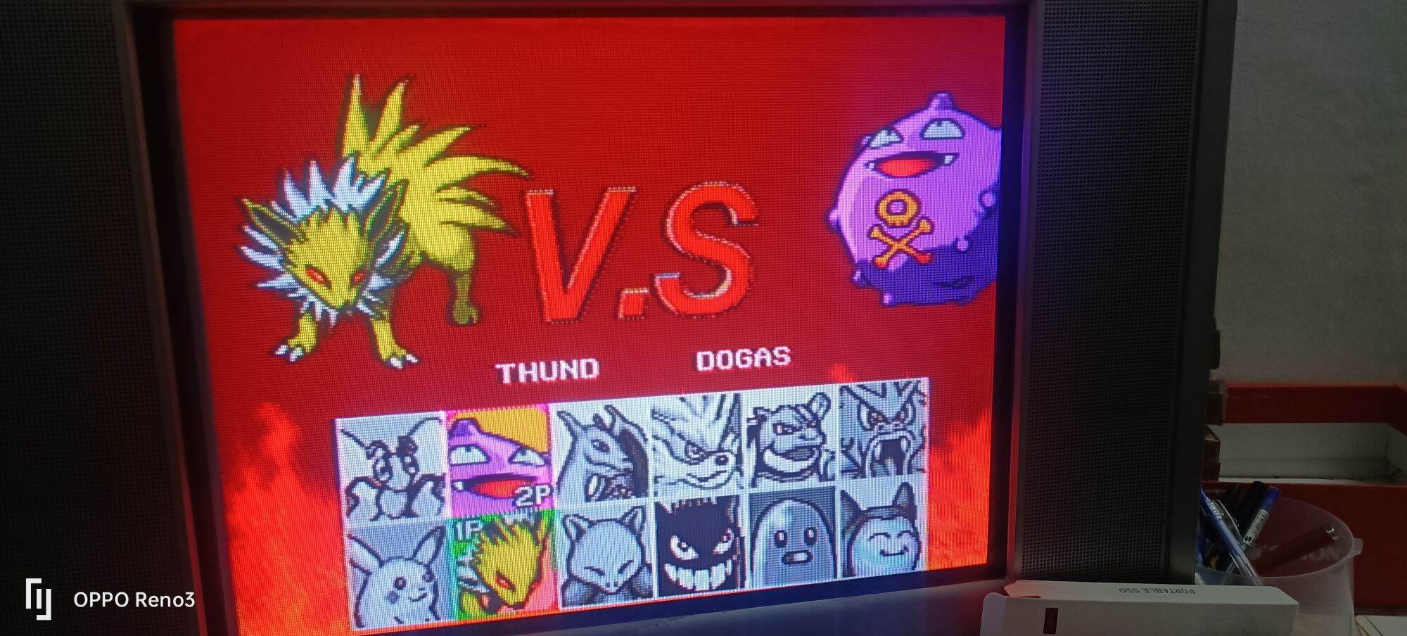 đĩa game ps2 Pokémon