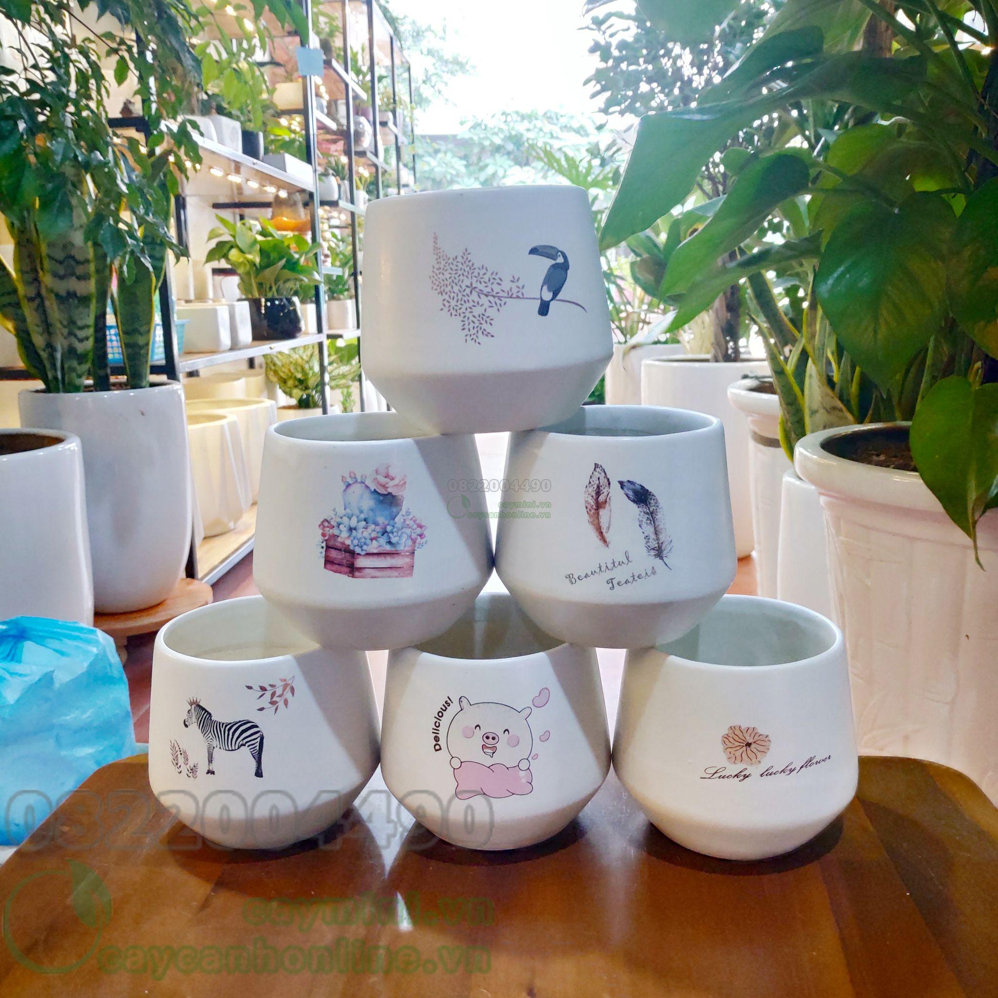 Chậu trồng cây mini in hình - chậu cây để bàn - chậu cây văn phòng