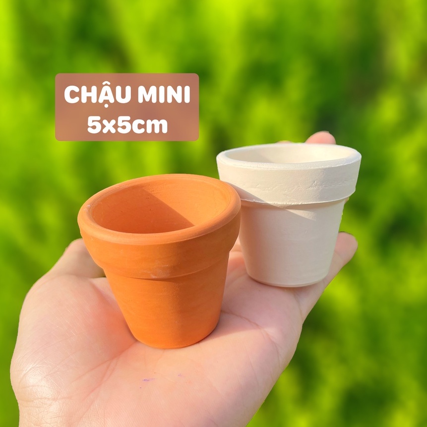 Chậu đất nung mini 5x5cm Trồng sen đá vỉ