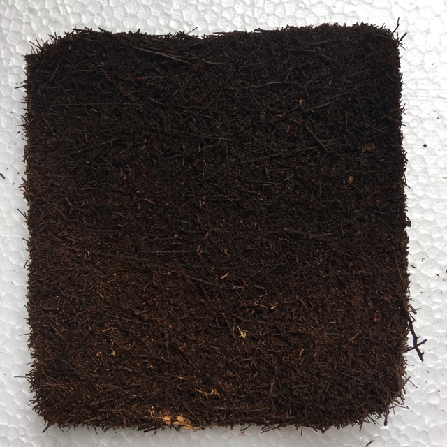Dớn bảng trồng lan kt 20x20x3 cm