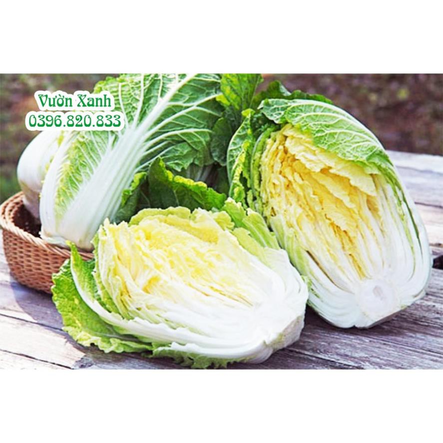 Hạt giống bắp cải thảo F1 0.5gram