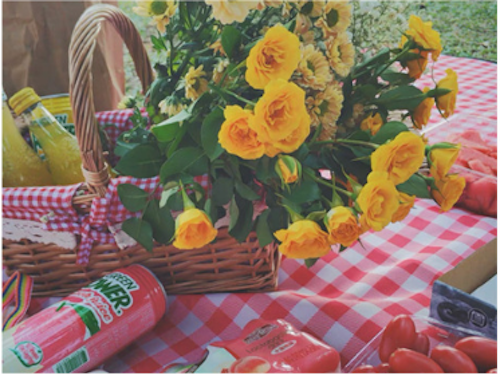 Thảm đi dã ngoại, Picnic Hàn Quốc