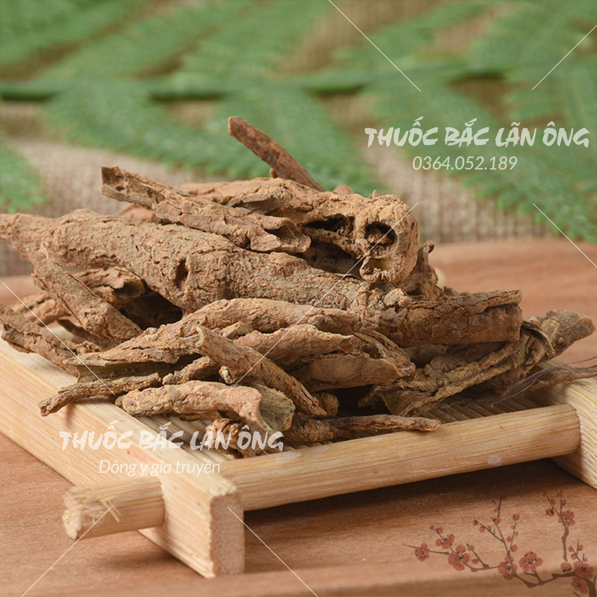 Địa cốt bì 500g thơm, sạch - Lãn Ông