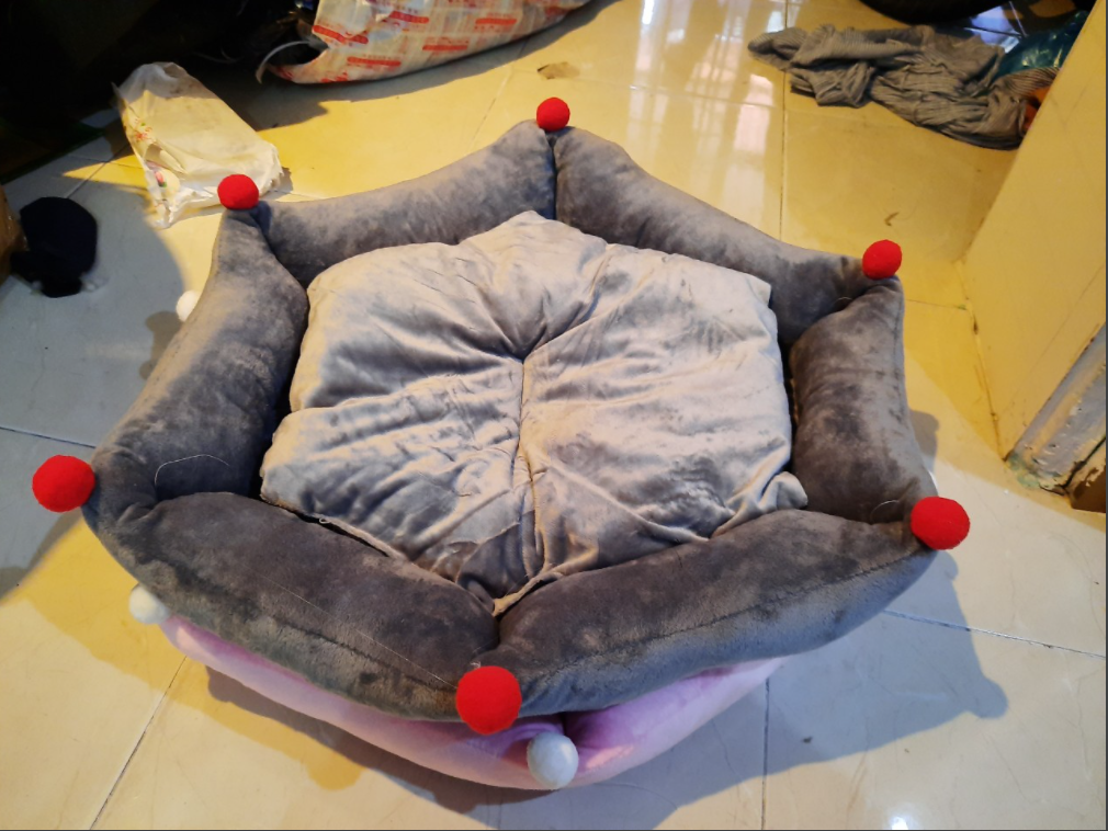 nệm cho thú cưng cao cấp