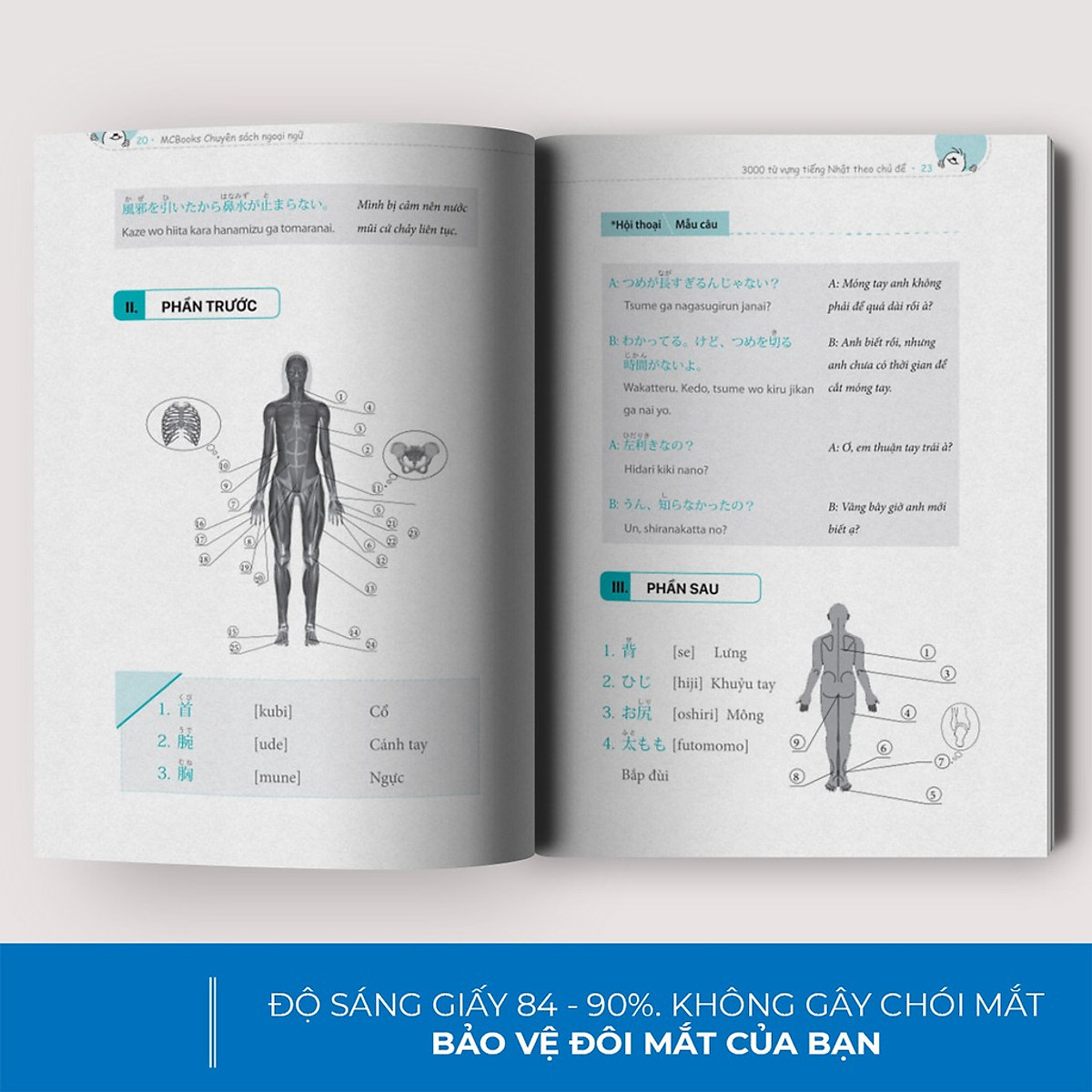3000 Từ Vựng Tiếng Nhật Theo Chủ Đề