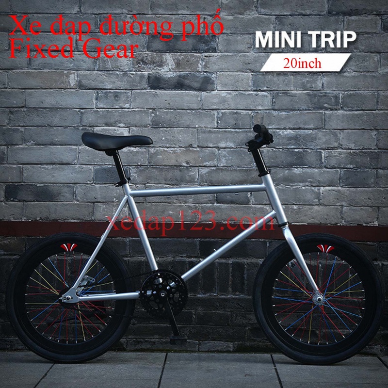 Xe Đạp Đường Phố Fixed Gear