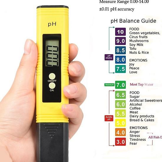 Dụng cụ kiểm tra nước, Bút đo độ PH bút thử nước thực phẩm bể cá, Máy đo ph nước hồ cá, thuỷ canh, Máy đo PH đã hiệu chuẩn, Bút thử pH nước cho kết quả nhanh, chính xác, giá rẻ chất lượng