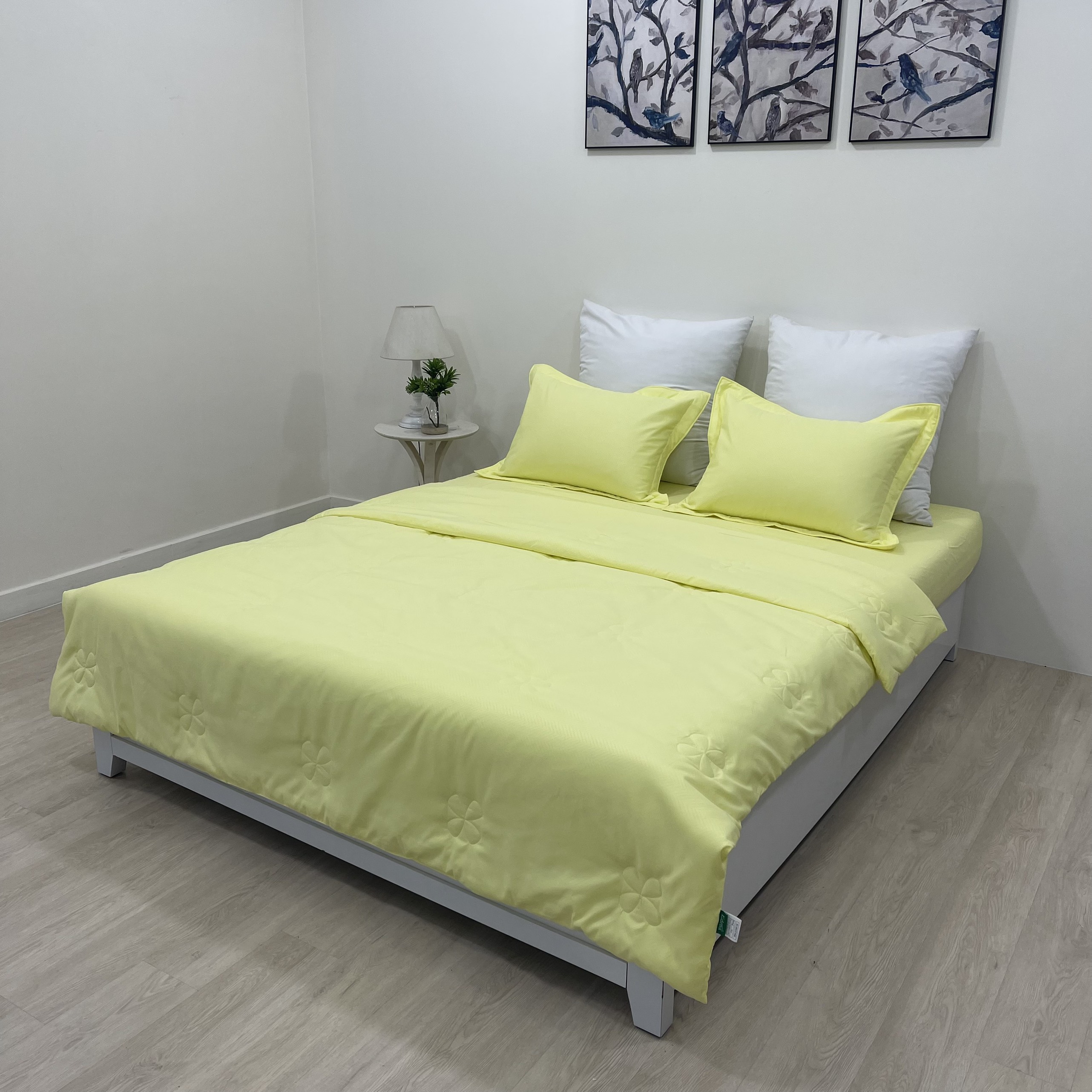 Trọn Bộ Ra Bọc Edena Basic Micro Silk mềm mịn