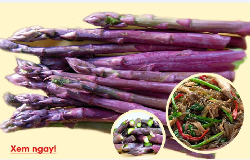 COMBO 2 gói hạt giống măng tây tím -  tặng 01 phân bón