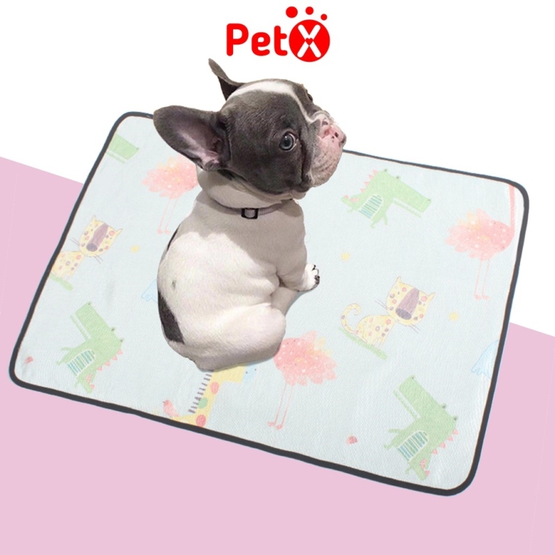 ✚◄  Đệm mát thảm mùa hè cho chó mèo bằng lụa băng (ice mat)