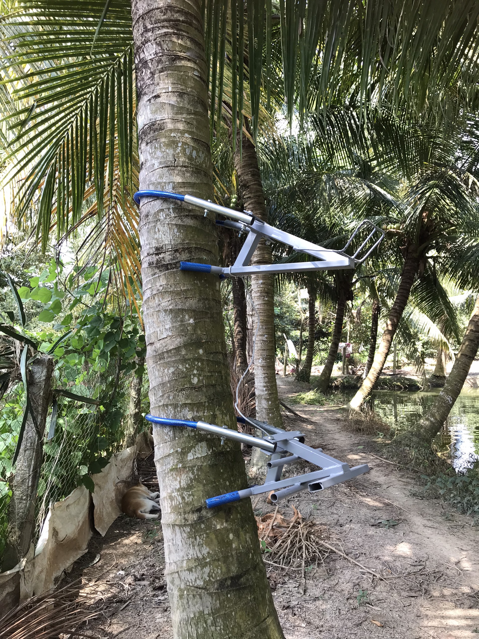 DỤNG CỤ LEO DỪA THẾ HỆ MỚI
