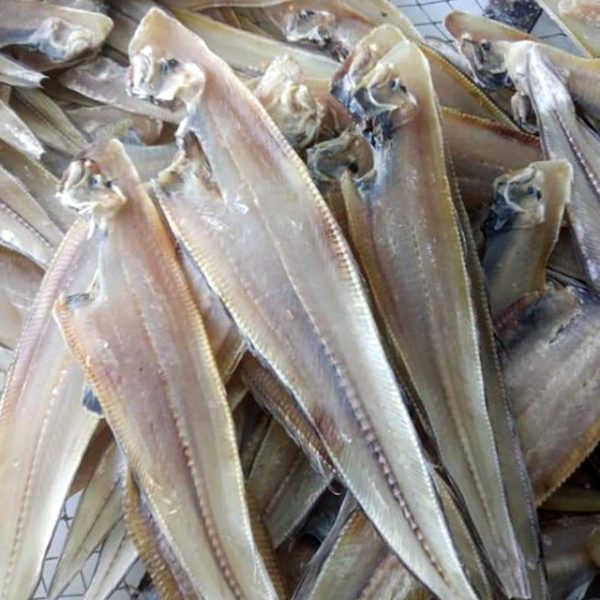 1kg KHÔ CÁ LƯỠI TRÂU LOẠI TRUNG ĐẶC SẢN  MINH TRIẾT CÀ MÀU-Vựa Khô Nam Thiên