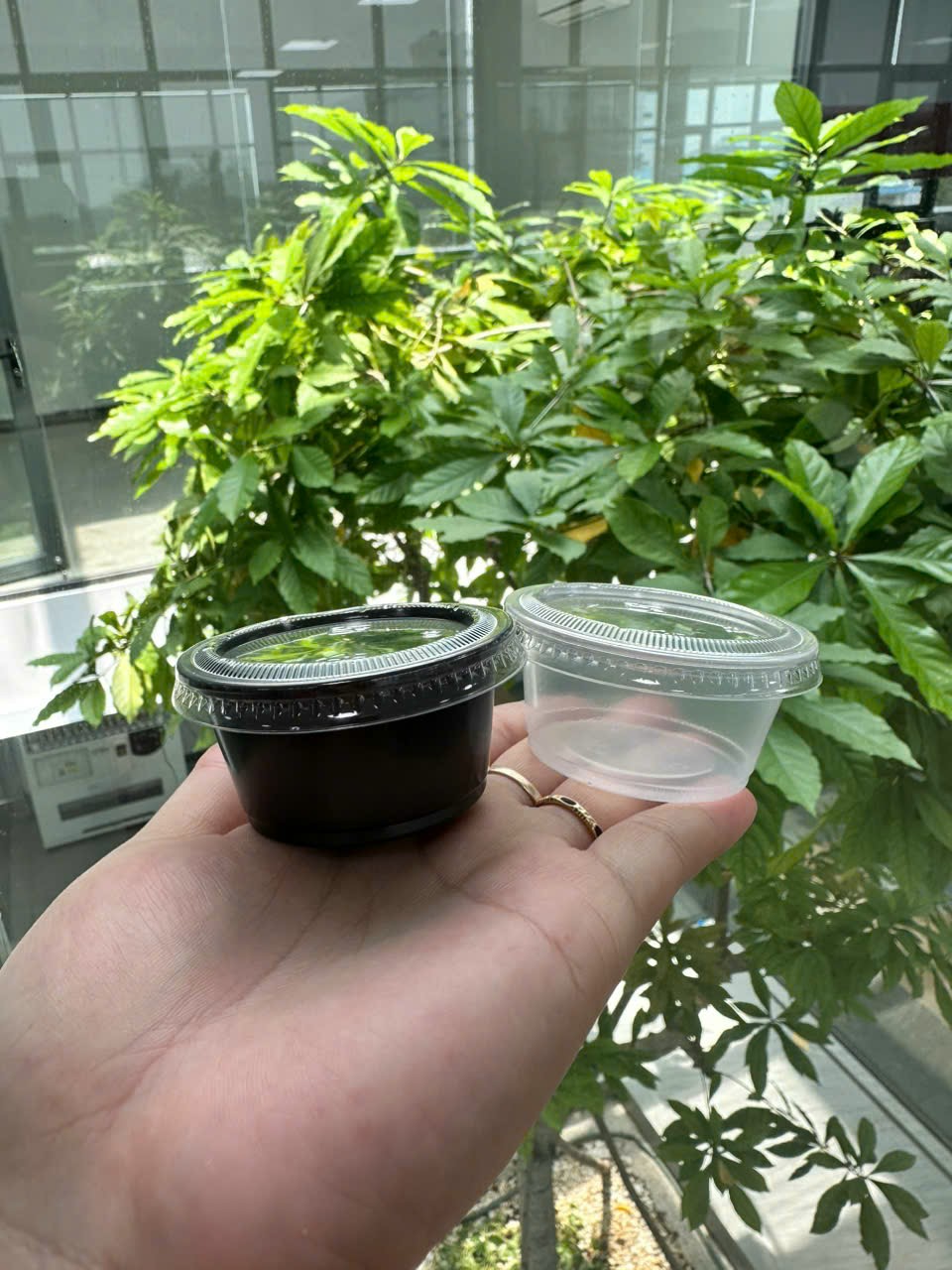Hủ chấm, hủ sốt 2oz (=60ml) ( 1 cây 100 hủ + 1 cây 100 nắp)
