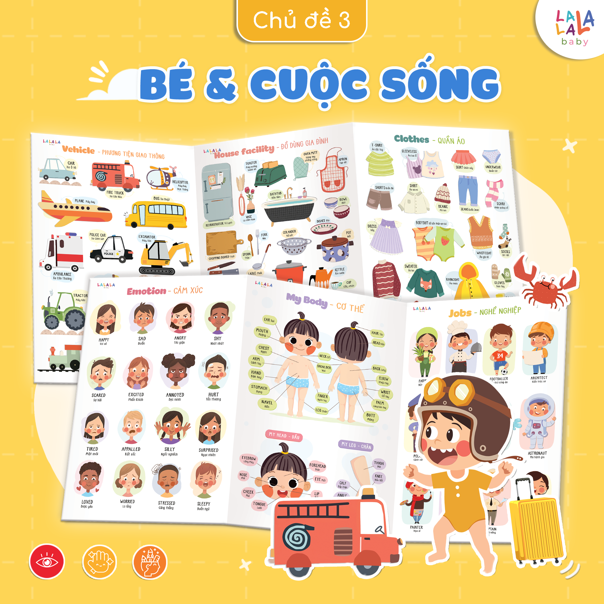 BẢNG GẤP THÔNG THÁI - MY FIRST LEARNING CHART