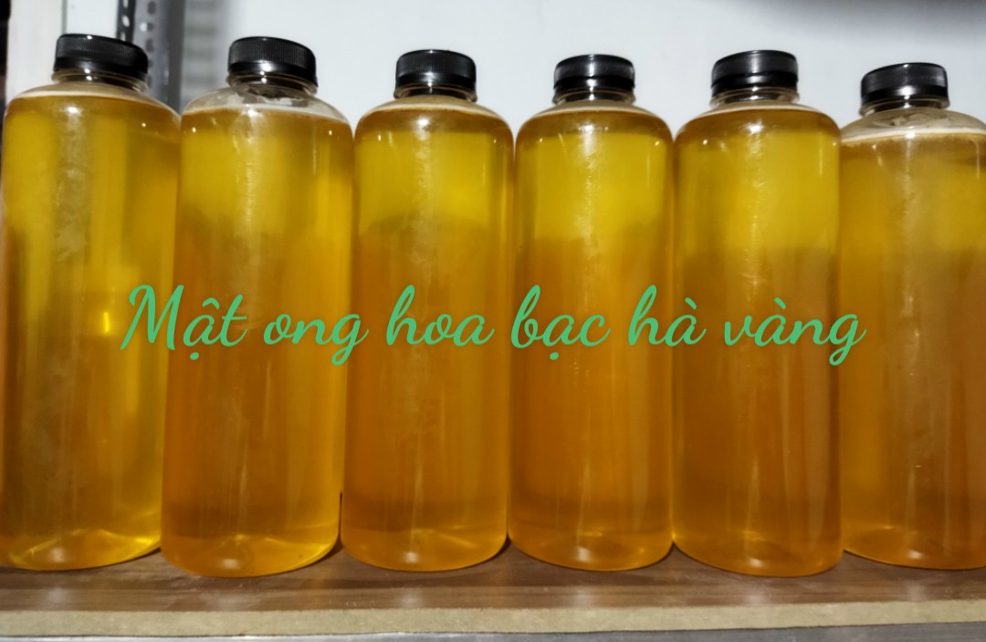 1 lít mật ong BẠC HÀ vàng chuẩn ngon
