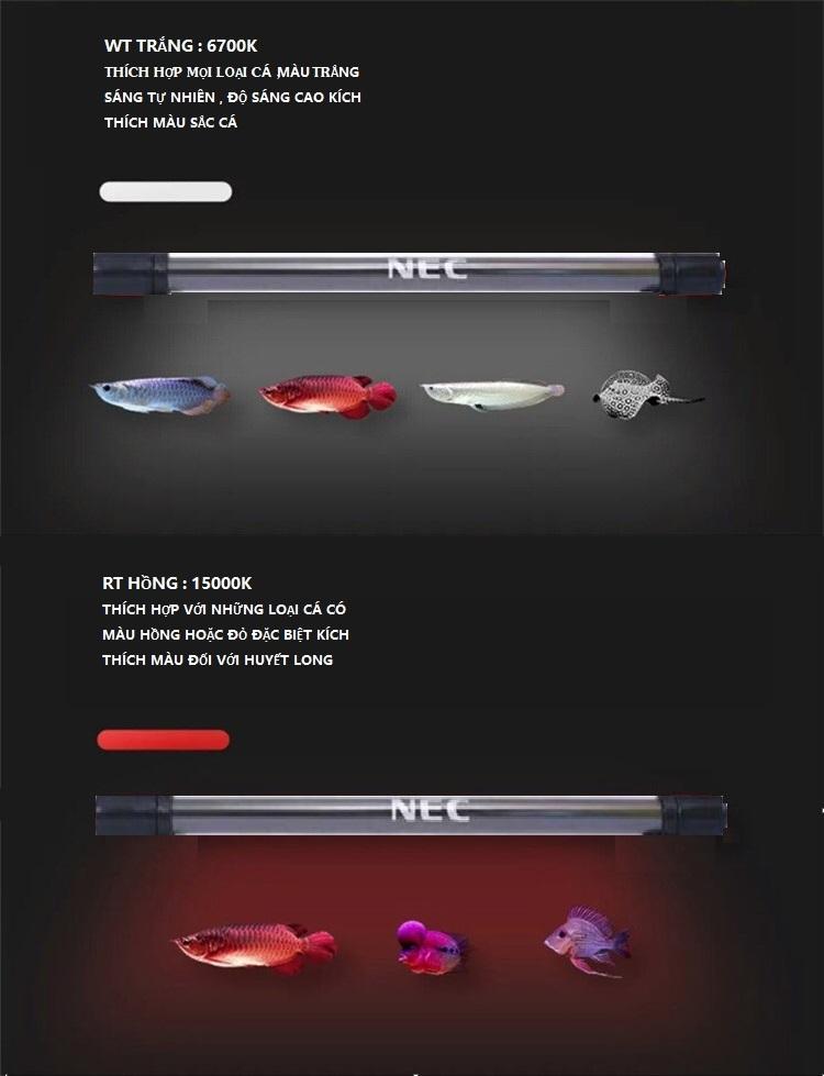 [HCM]ĐÈN CHÌM NEC TANNING CÁ RỒNG MÀU TRẮNG 128CM