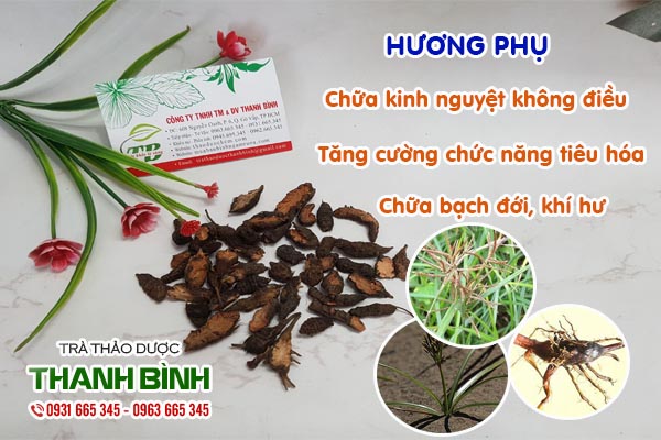 Hương Phụ 100g Hàng Chất Lượng- Dược Liệu Thanh Bình
