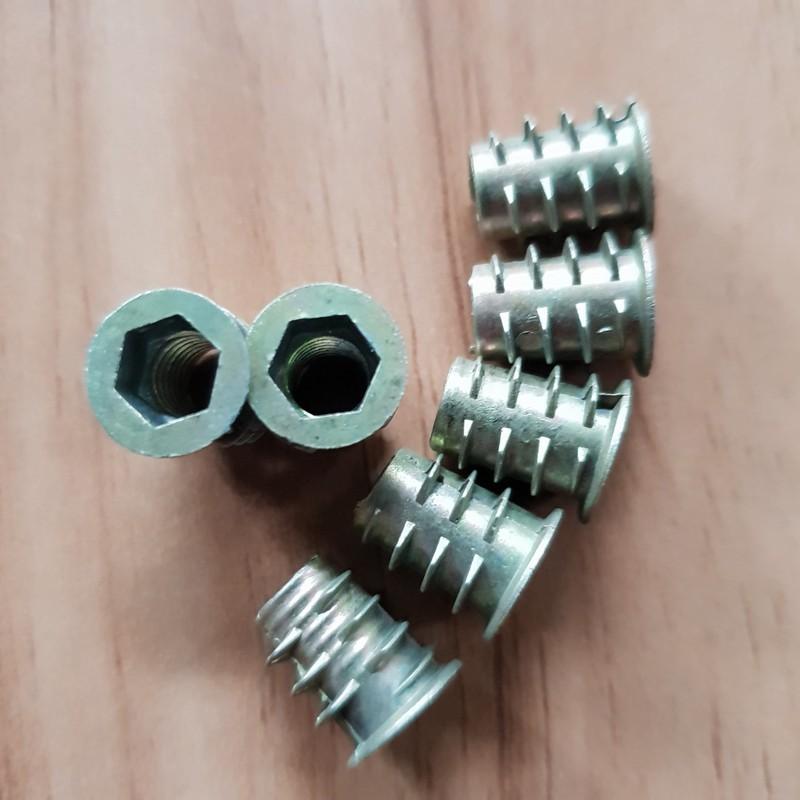 Túi ốc cấy gỗ phi 6 - 100 con