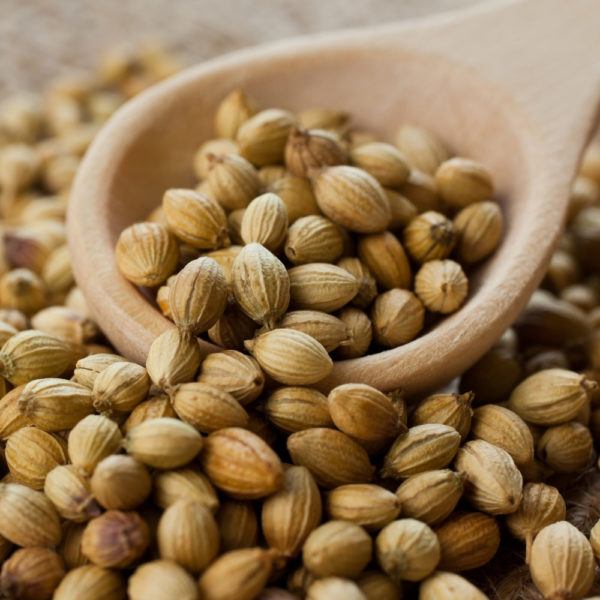 500g hạt ngò / hạt mùi khô thơm loại 1 - sỉ giá tốt