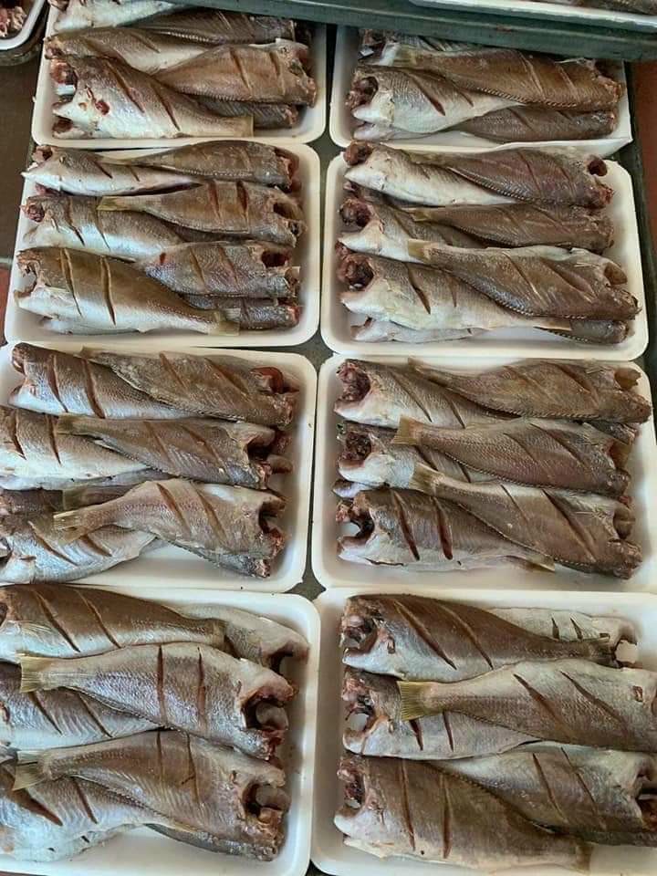 Cá đù 1 nắng lạc vừa ăn vĩ 500gr (giao hoả tốc tphcm)