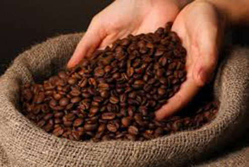Cà phê ROBUSTA 1Kg nguyên chất 100%, Cà phê sạch, Cà phê không hóa chất, Pha phin, Pha máy, Cà phê hạt, Cà phê bột, Cà phê Đaklak