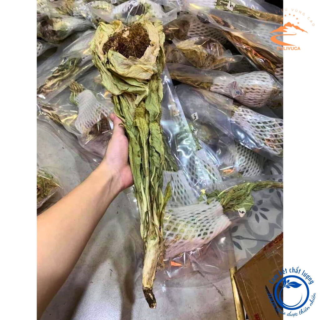 Thiên sơn tuyết liên hoa, hoa sen tuyết Tây Tạng khô . Hoa tuyết liên sơn giúp bồi bổ sinh lực, tăng cường khí huyết