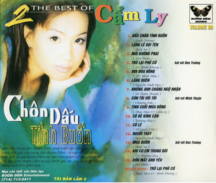 BDCD60 - Chôn dấu tình buồn - Cẩm Ly 2
