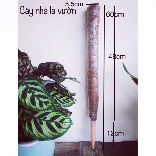 Trụ cọc xơ dừa trồng cây leo dựa cột 50cm/60cm (không nối)