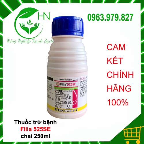Filia 525se-endodontic ointment, strong conductivity medicine, collar, Branch
