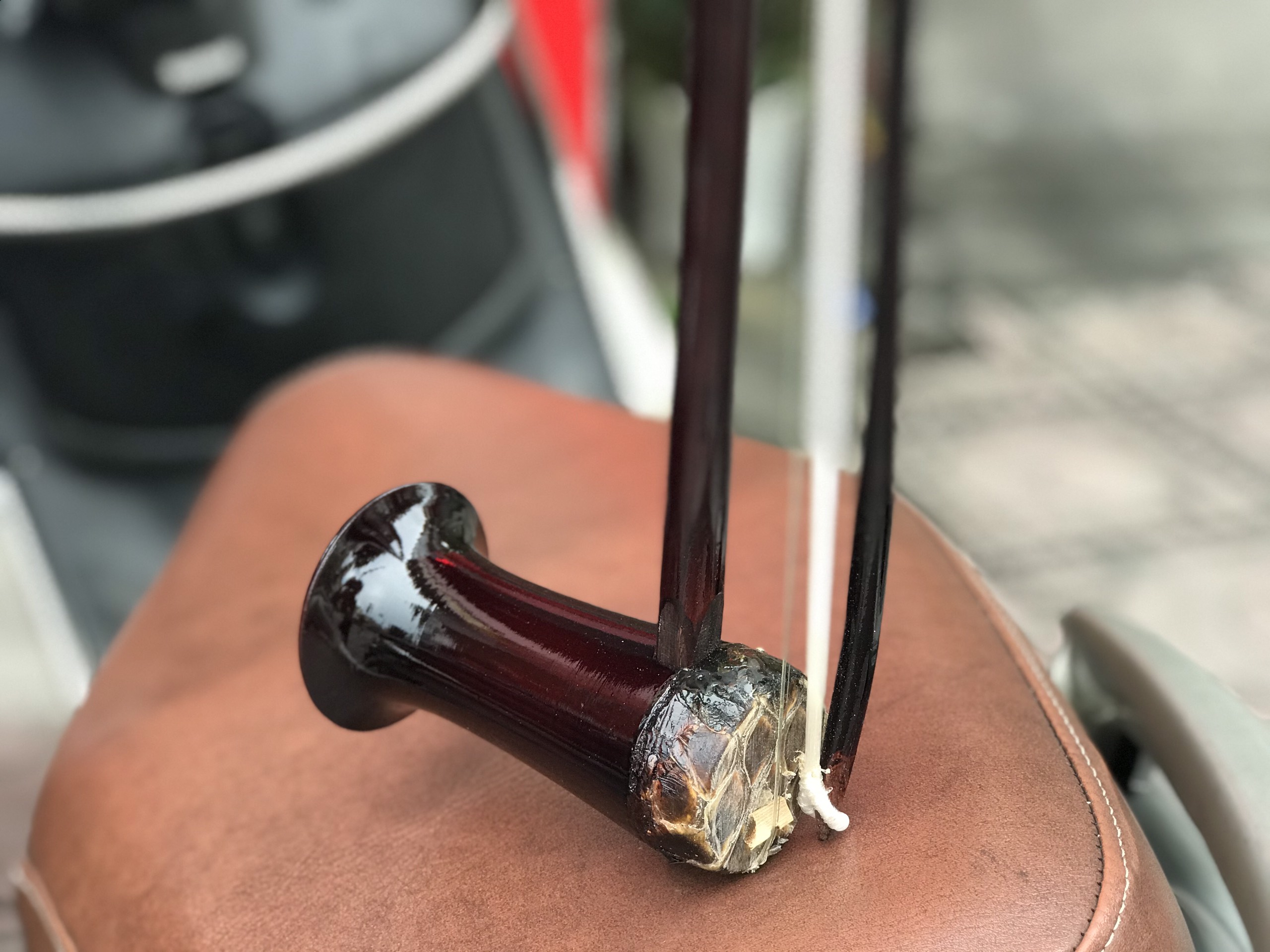 Đàn nhị dân tộc Việt Nam