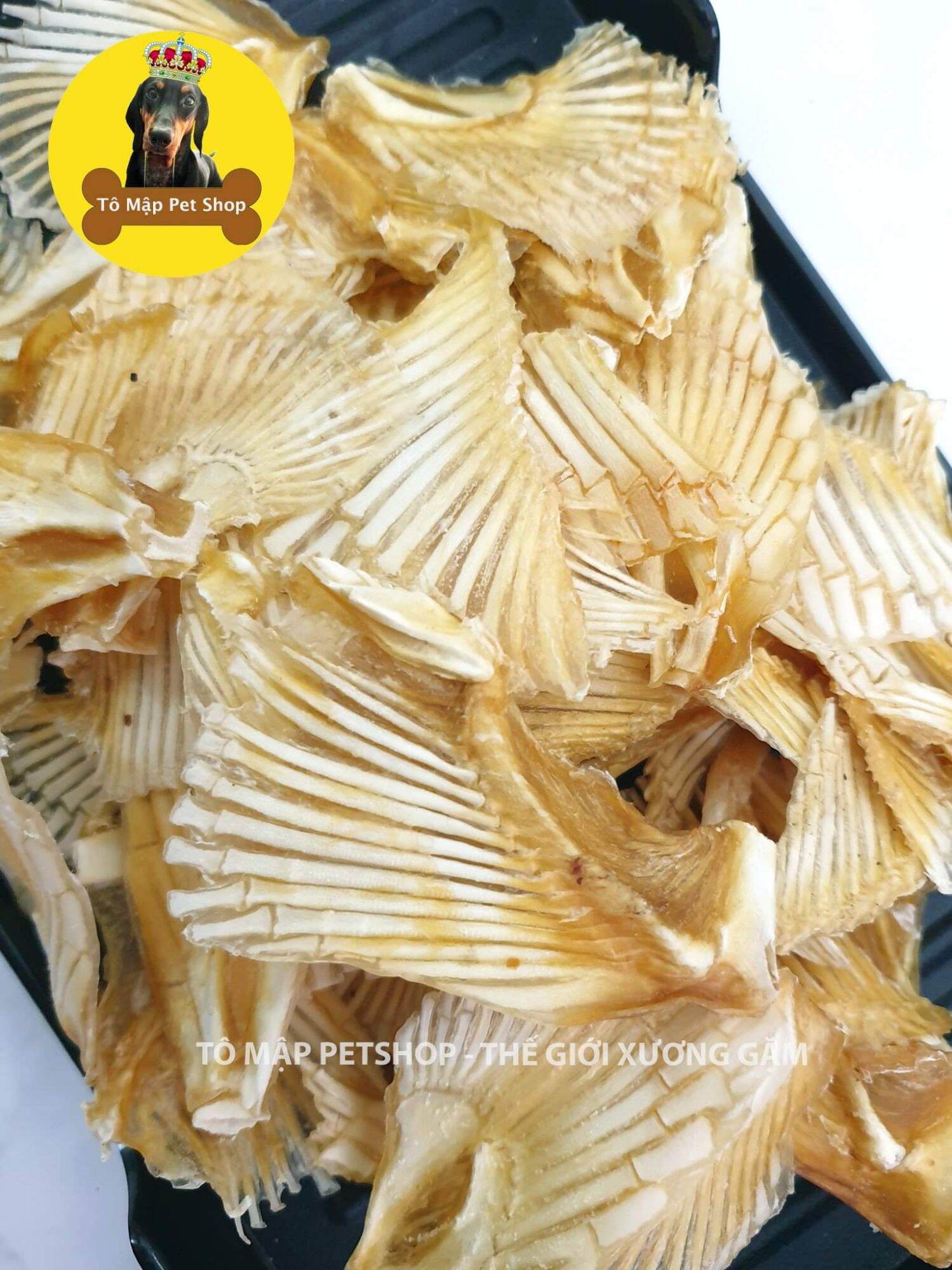Xương gặm vây cá sấy giòn 100% nguyên chất cho chó