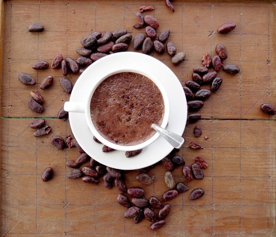 Bột cacao Tăng cân Nalee Choco 15 ngày