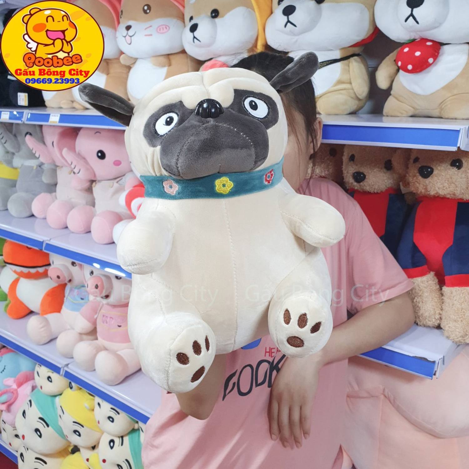 Chó Bông Mặt xệ Pug gấᴜ Bông cao cấp đủ size