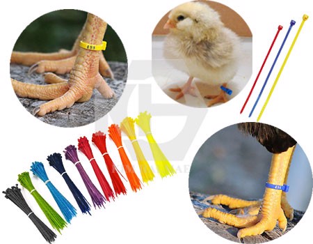 10cm - combo 100 dây thít, dây rút nhựa chọn màu (mỗi bịch 1 màu)
