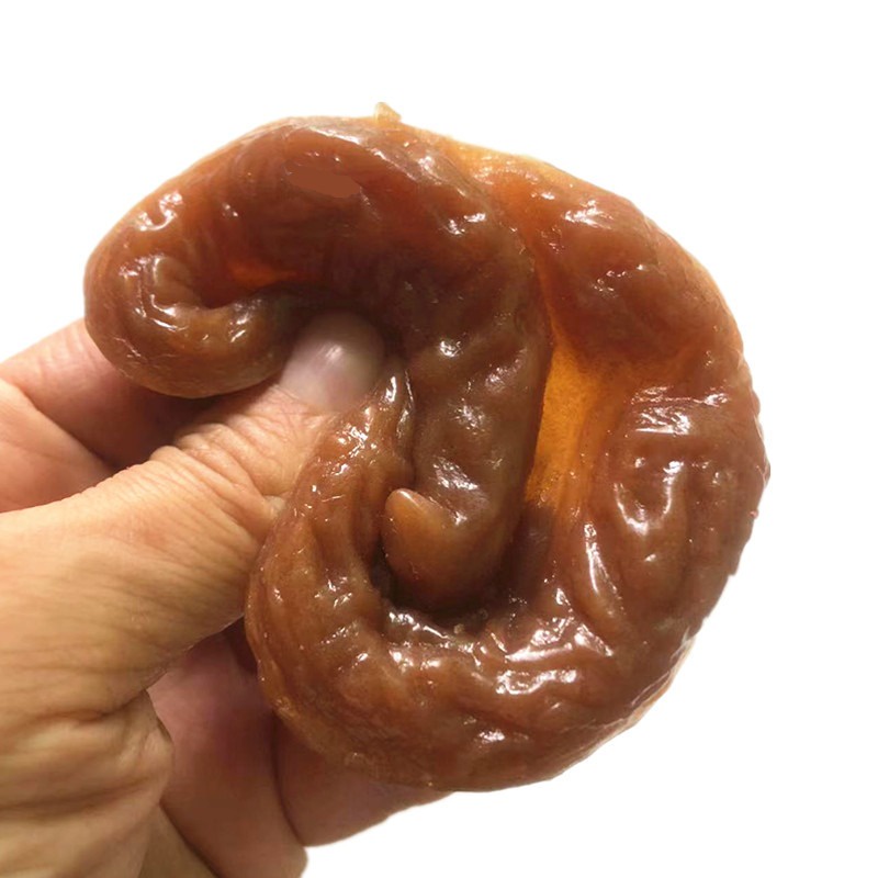 Cục phân giả💩( kèm 1 con gián, 1 con ruồi ) bãi phân đồ chơi