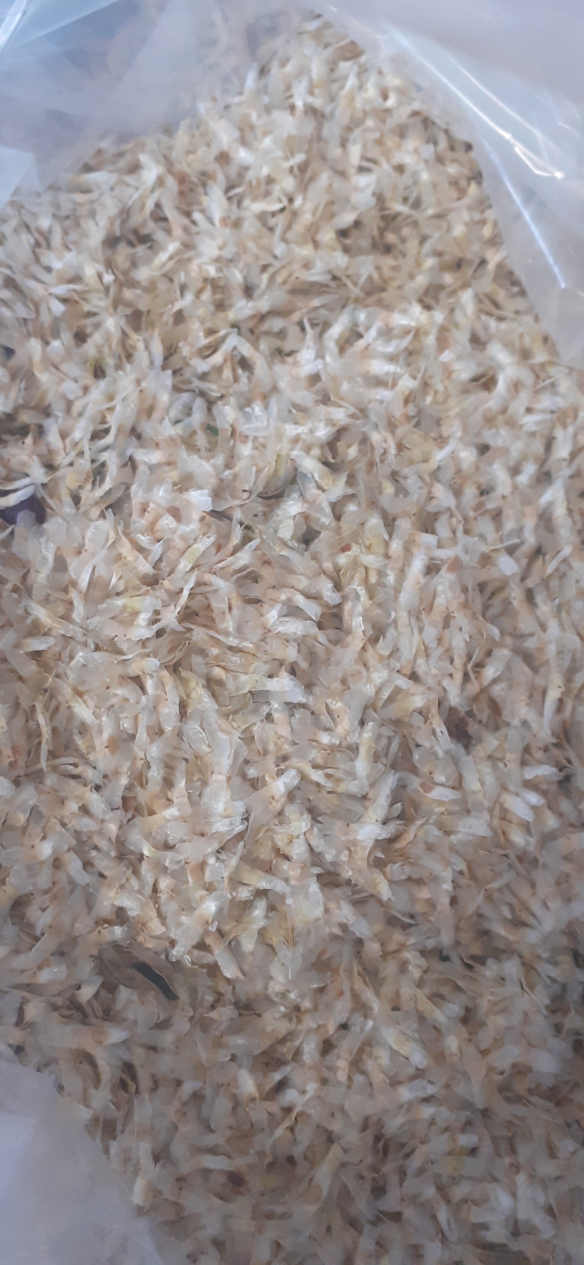 HẠT GIỐNG NÚC NÁC