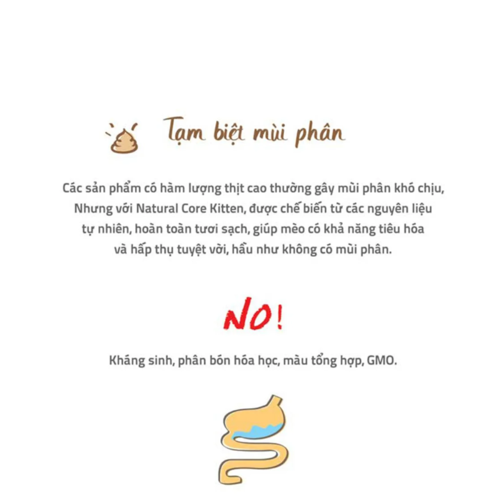 [400gr] Thức ăn cho mèo Natural core kitten C1