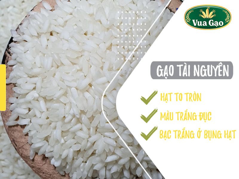 10kg gạo tài nguyên chợ đào xốp, ngọt, thơm - an toàn chất lượng