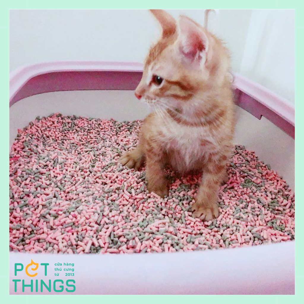 Kit Cat SOYA 7L Cát Vệ Sinh Đậu Nành Vón Cục Cho Mèo