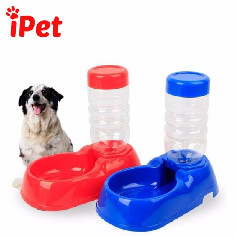 Bát uống kèm bình cho chó mèo - iPet Shop