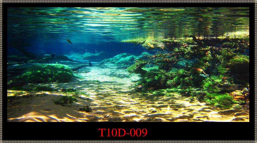 Tranh 3D bể cá mã T10D-009 kt (60,80,90,100,1m2,1m5,1m6)
