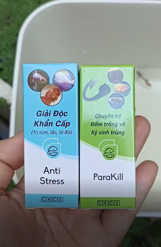 [COMBO] Anti Stress và Parakill - dưỡng cá
