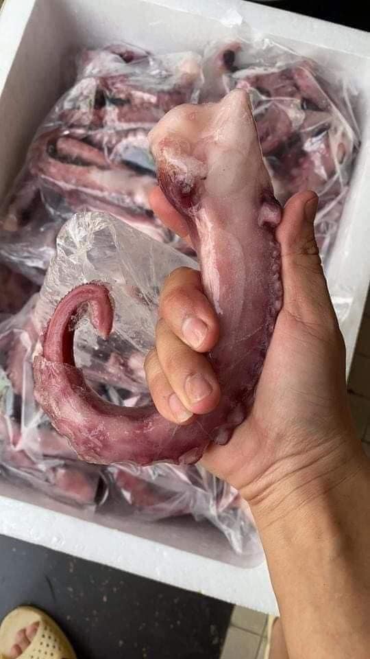 [CHỈ GIAO HÀ NỘI]1KG Râu bạch tuộc