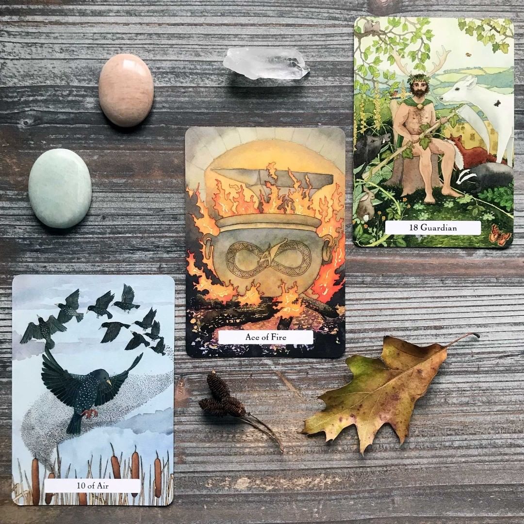 Witches Wisdom Tarot